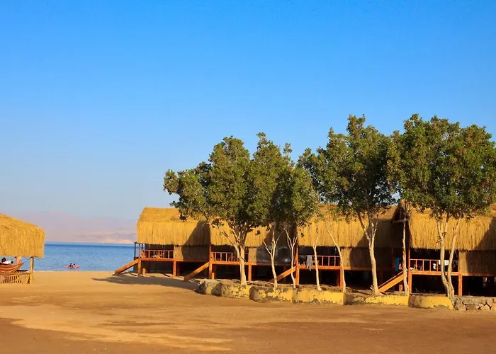Resort Relax Camp